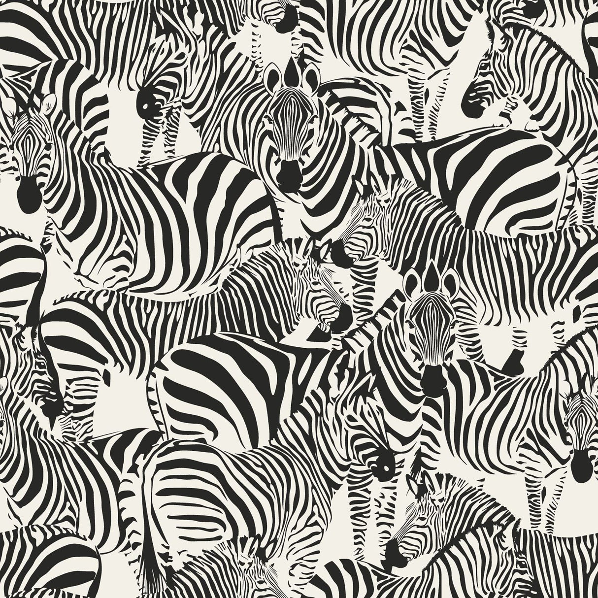 Jemima Black Zebra Wallpaper with Glam Animal Print in Non Woven Unpasted - Origin DD347453