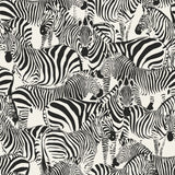 Jemima Black Zebra Wallpaper with Glam Animal Print in Non Woven Unpasted - Origin DD347453