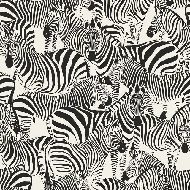 Jemima Black Zebra Wallpaper with Glam Animal Print in Non Woven Unpasted - Origin DD347453