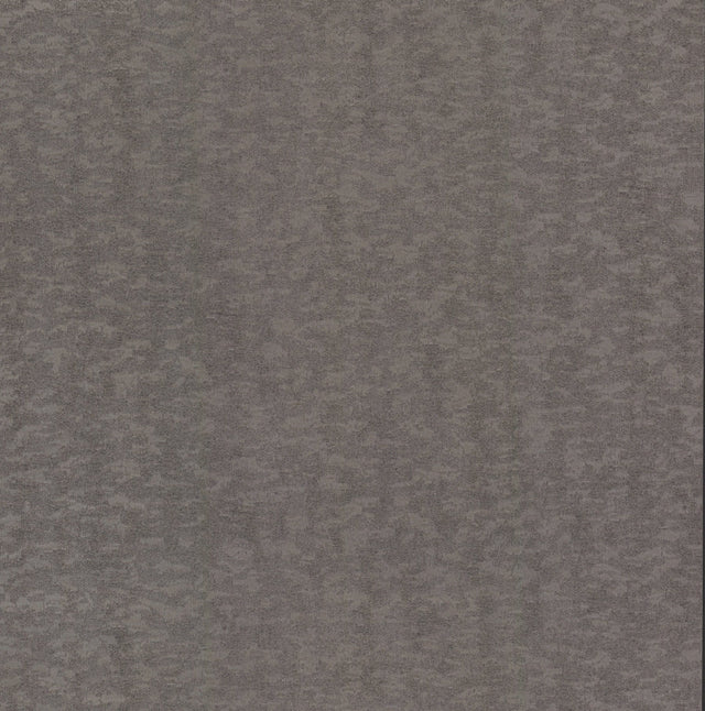 Weathered Cypress Silver Wallpaper with Textured Bark Motif - York DD3751