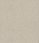 Weathered Cypress Taupe Wallpaper with Textured Bark Motif - York DD3752