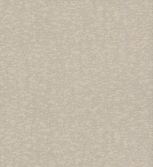 Weathered Cypress Taupe Wallpaper with Textured Bark Motif - York DD3752