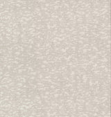 Weathered Cypress White Textured Non Woven Unpasted Wallpaper - York DD3754