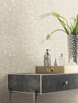 Weathered Cypress White Textured Non Woven Unpasted Wallpaper - York DD3754