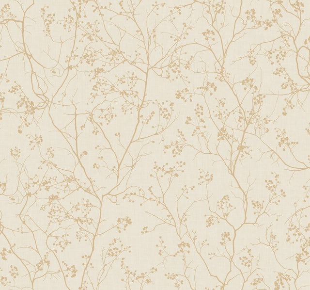 Luminous Branches Cream & Gold Wallpaper with Metallic Botanical Branch Pattern - York DD3812
