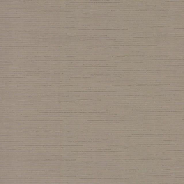 Ribbon Bamboo Silver Metallic Wallpaper with Metallic Bamboo Texture - Antonina Vella DD3832