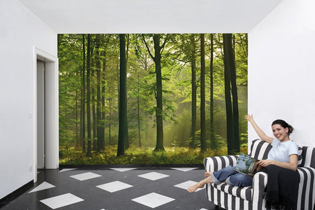 Autumn Forest Green Trees Scenic Wall Mural - Wizard & Genius WG216