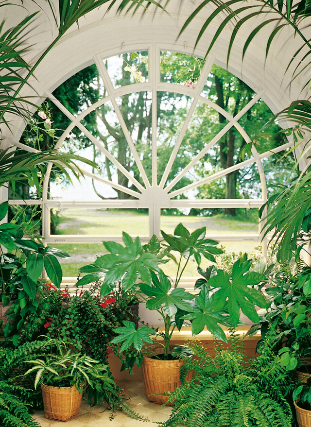 Wintergarden Scenic Greenhouse Wall Mural Green Nature Pattern - Wizard & Genius WG322