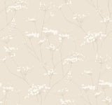 Enchanted Cream Wallpaper with Botanical Wildflower Motif - York DN3708
