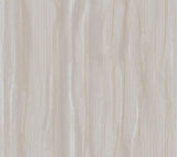 Fantasy Faux Bois Taupe & Gold Wallpaper with Metallic Woodgrain Motif - York DT5032