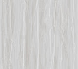 Fantasy Faux Bois Grey & White Wallpaper with Contemporary Woodgrain Motif - York DT5034
