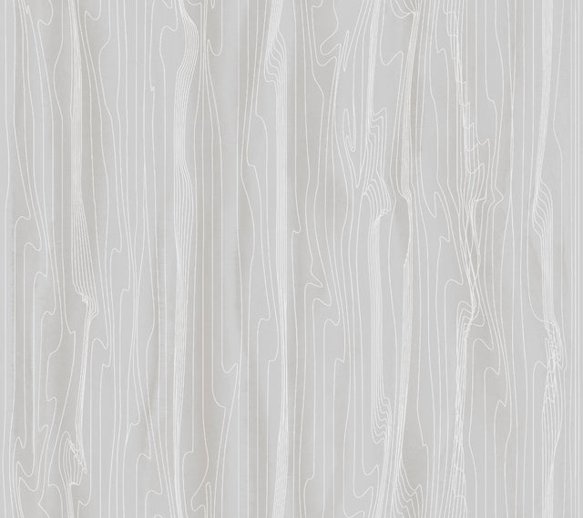 Fantasy Faux Bois Grey & White Wallpaper with Contemporary Woodgrain Motif - York DT5034