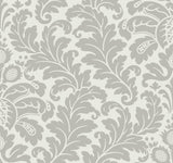 Modern Romance Grey Acanthus Leaf Damask Non Woven Wallpaper - York DT5041