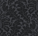Modern Romance Black Wallpaper with Acanthus Botanical Scroll Motif, Non Woven Unpasted - York DT5044