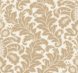 Modern Romance Gold Metallic Wallpaper with Botanical Acanthus Scrolls - York DT5045