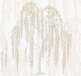 Willow Glow Neutral Wallpaper with Botanical Willow Tree Motif - York DT5061