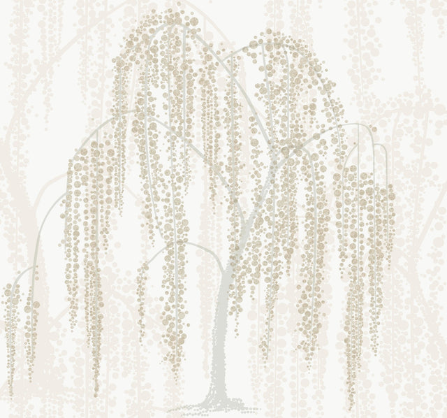 Willow Glow Neutral Wallpaper with Botanical Willow Tree Motif - York DT5061