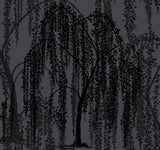 Willow Glow Grey Wallpaper with Botanical Willow Motif - York DT5062