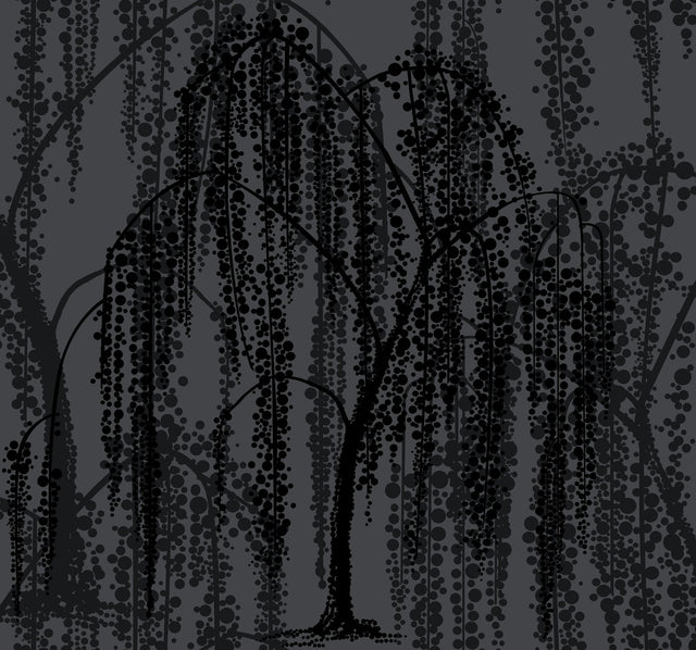 Willow Glow Grey Wallpaper with Botanical Willow Motif - York DT5062