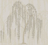 Willow Glow Light Taupe Wallpaper with Bohemian Willow Tree Motif - York DT5064
