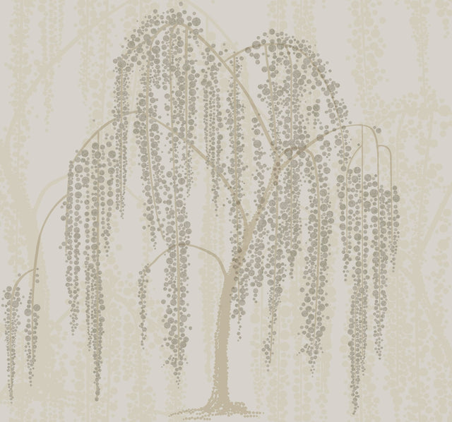 Willow Glow Light Taupe Wallpaper with Bohemian Willow Tree Motif - York DT5064