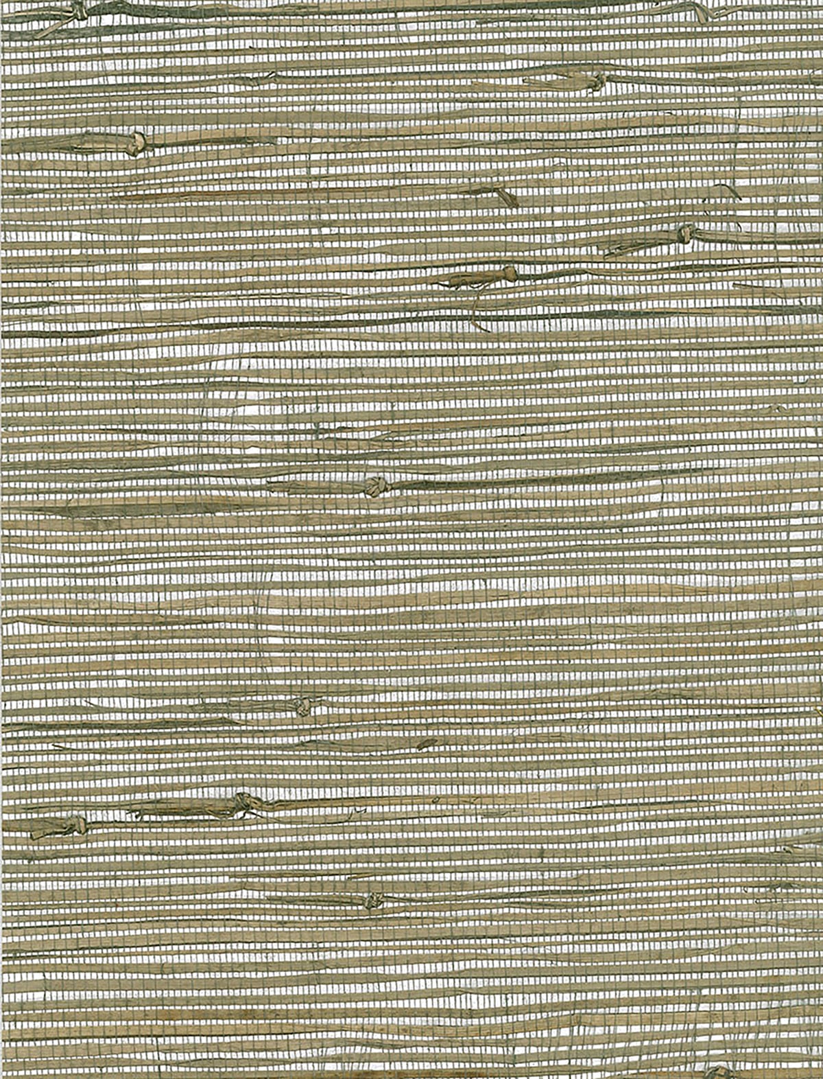 Triangle Grass gray and metallic silver grasscloth wallpaper with horizontal woven texture