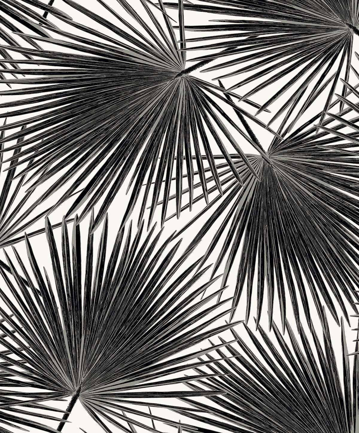 Black palm frond botanical wallpaper pattern on a light ground