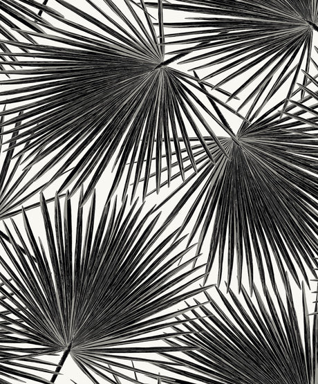 Black palm frond botanical wallpaper pattern on a light ground