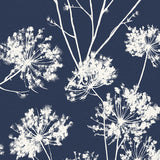 Navy blue wallpaper with white dandelion field floral silhouettes