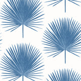 Palm Fronds wallpaper in coastal blue with matte finish; tropical botanical frond motif.