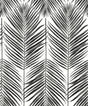 Marina Palm wallpaper in ebony with palm frond botanical pattern