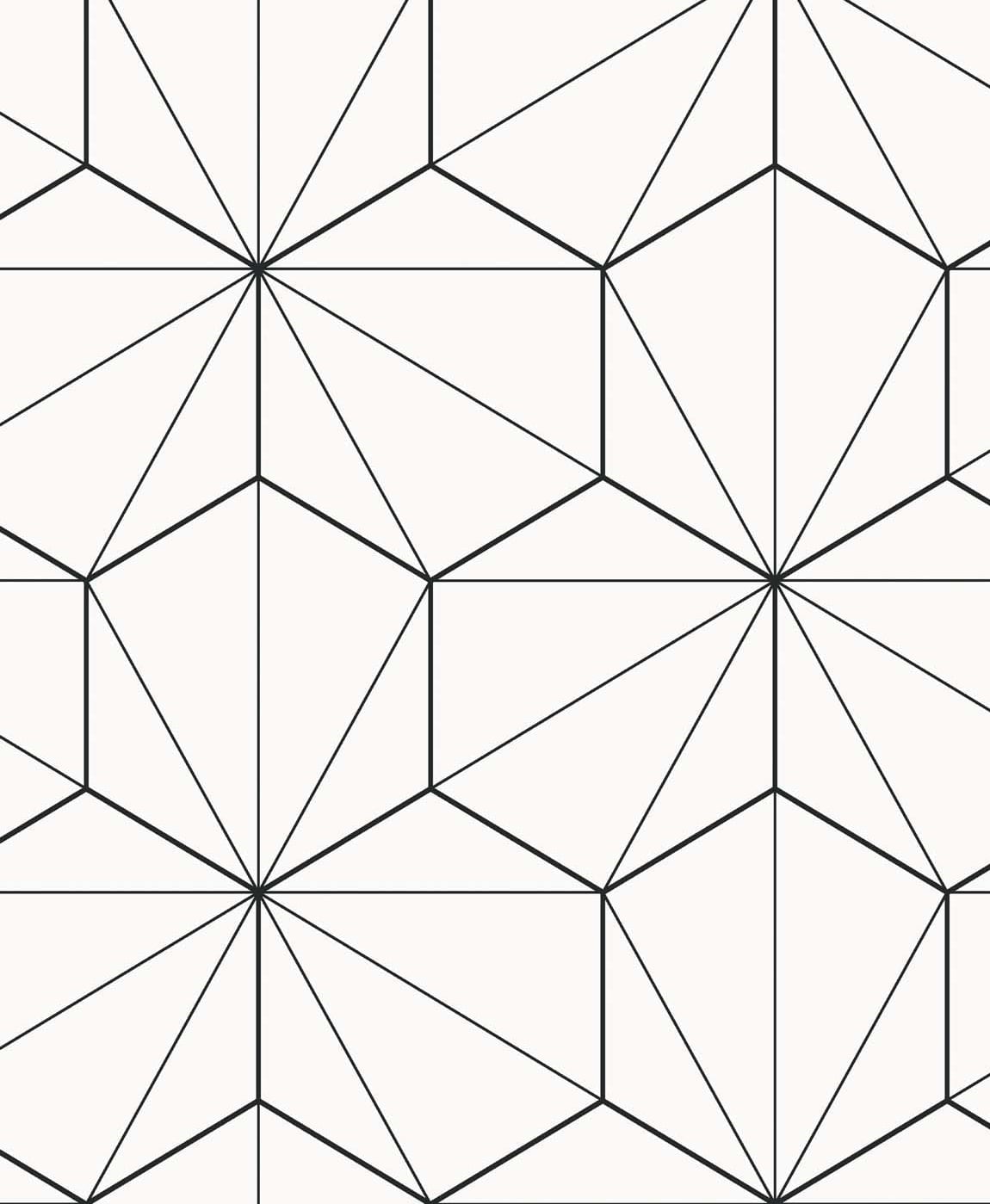 Hedron Geometric wallpaper in ebony and eggshell with modern linework pattern