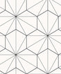 Hedron Geometric wallpaper in ebony and eggshell with modern linework pattern