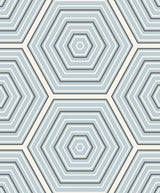 Hex Topography geometric wallpaper in sky blue and grey concentric hexagon pattern with a matte finish