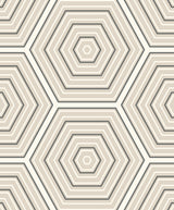 Hex Topography Lunar Rock & Argos Grey by Etten Studios Geometric Wallpaper – Etten Studios ET11905-Sample