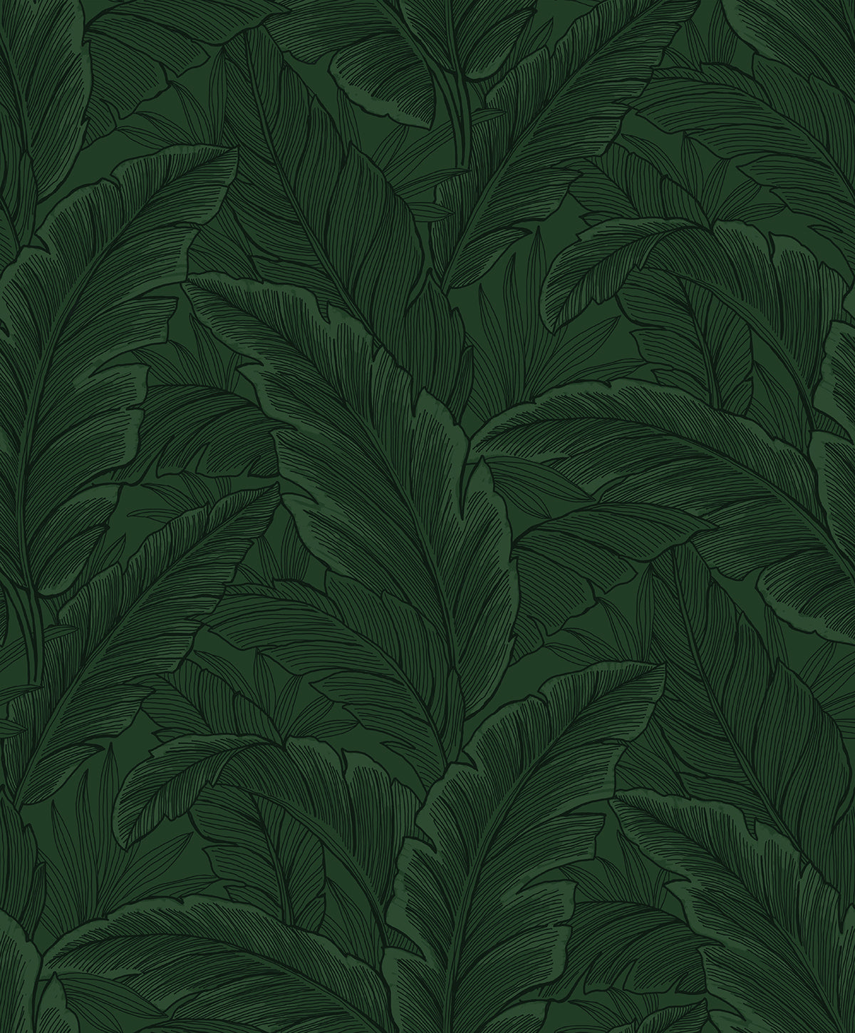 Forest green tropical palm leaf wallpaper pattern
