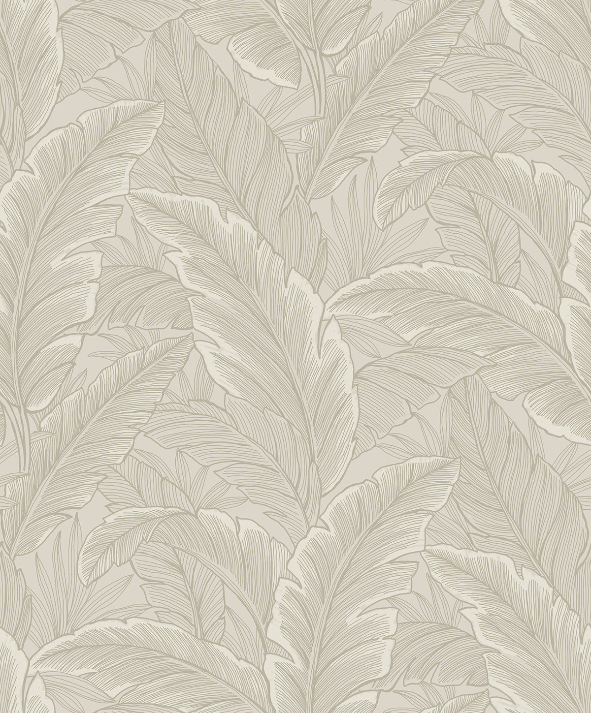 Gulf Tropical Leaves wallpaper in Crema by Etten Studios