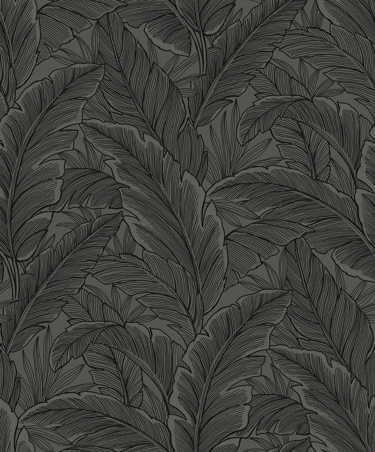 Slate grey tropical palm leaf linework wallpaper pattern