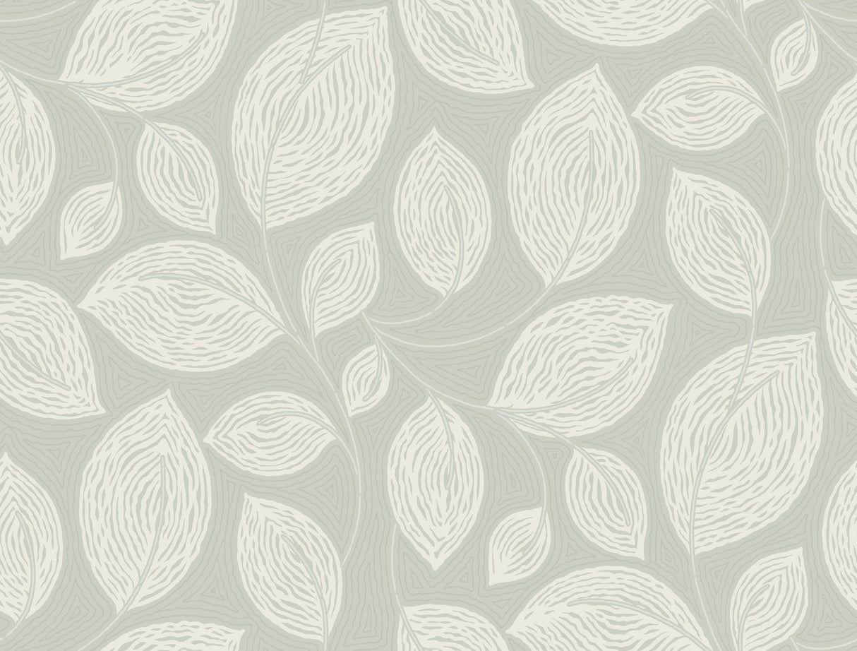 Contoured Leaves Green Wallpaper with Sculptured Finishes Pattern - York EV3921