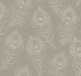 Regal Peacock Mink Wallpaper with Metallic Peacock Feather Motif - York EV3941