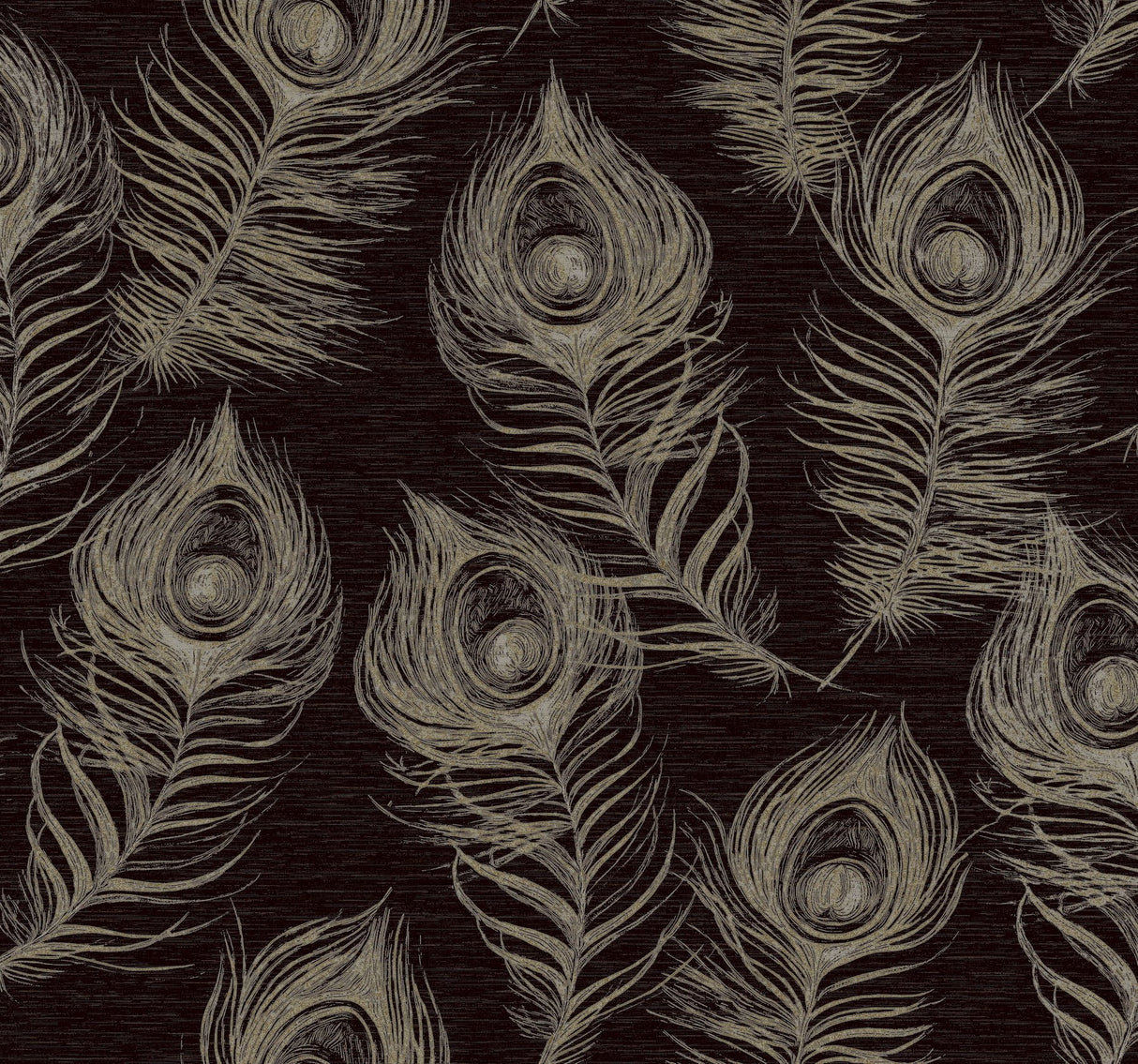 Regal Peacock Black Wallpaper with Iridescent Peacock Feather Pattern - York EV3942