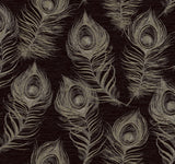 Regal Peacock Black Wallpaper with Iridescent Peacock Feather Pattern - York EV3942