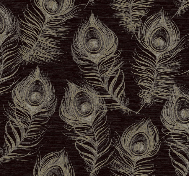 Regal Peacock Black Wallpaper with Iridescent Peacock Feather Pattern - York EV3942