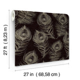 Regal Peacock Black Wallpaper with Iridescent Peacock Feather Pattern - York EV3942