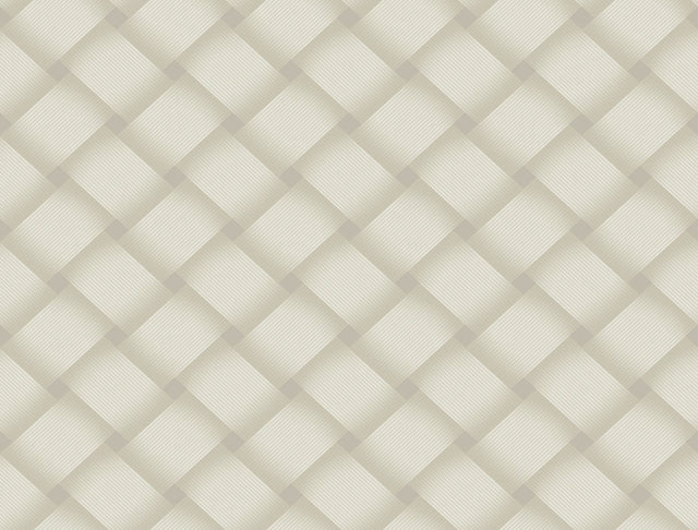 Bayside Basket Weave Neutral Wallpaper with Large Weave Pattern - York EV3967