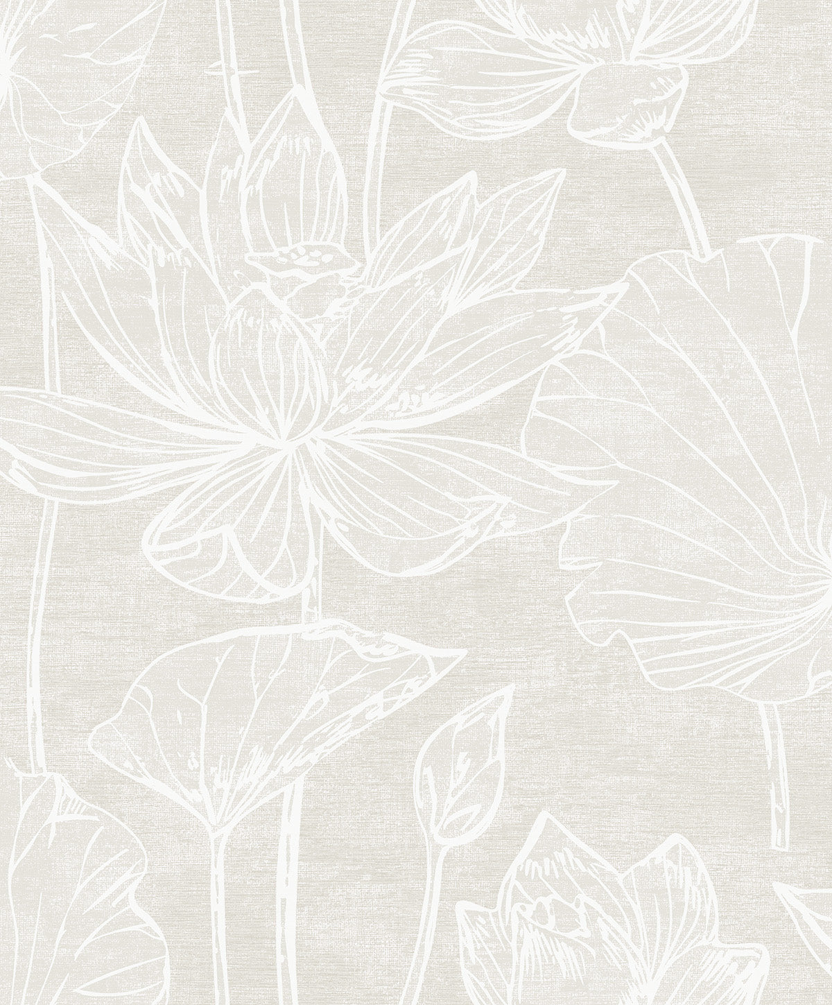 Water Lilies Antique Pearl floral wallpaper with line-drawn water lily blooms and leaves on a soft beige ground.