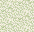 Green botanical coral-branch pattern wallpaper on a light background (Corail, colorway Herb)