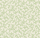 Green botanical coral-branch pattern wallpaper on a light background (Corail, colorway Herb)