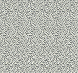 Cossette wallpaper in Poppy Seed featuring a delicate black botanical vine sprig pattern on an off-white ground.