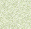Cossette botanical vine wallpaper in green on an off-white ground